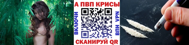 hydra как зайти Пугачёв Альфа ПВП VHQ цены