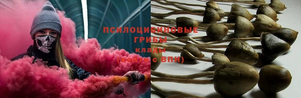 СК Нягань