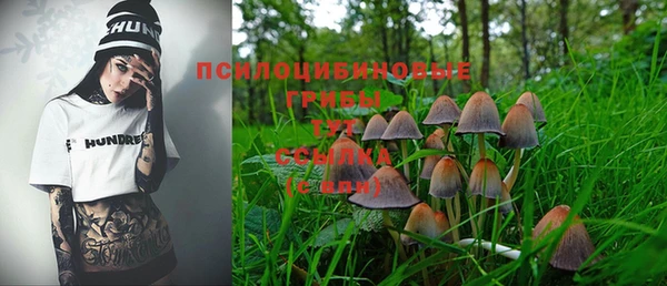 СК Нягань