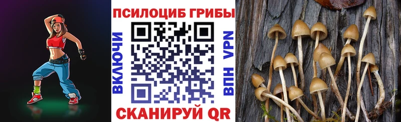 Псилоцибиновые грибы Psilocybine cubensis  даркнет сайт  Пугачёв 
